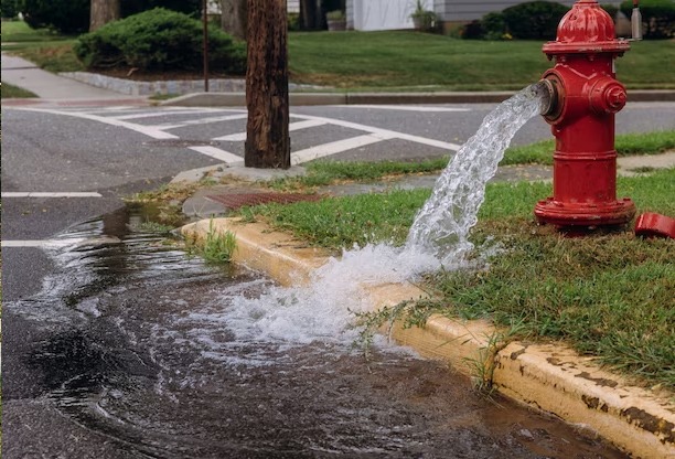 Replace Your Pump Due to Flooding?